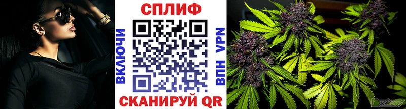 Виды наркоты Новотитаровская Амфетамин СОЛЬ ГАШИШ Псилоцибиновые грибы Марихуана