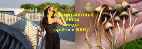 метадон Новодвинск