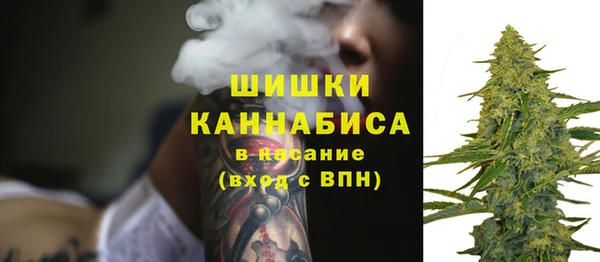 каннабис Новозыбков