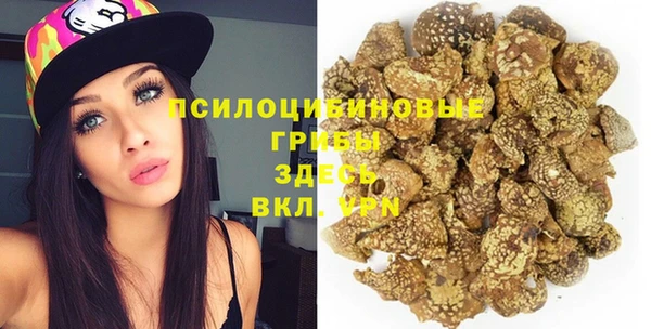 каннабис Новозыбков