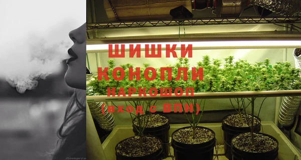 каннабис Новозыбков