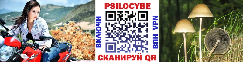 Галлюциногенные грибы прущие грибы  KRAKEN вход  Новотитаровская 